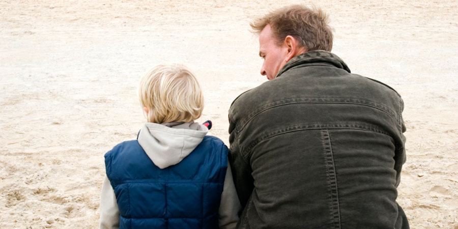 Clarification And Definition Of Parental Alienation